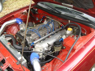 STP60415.JPG
