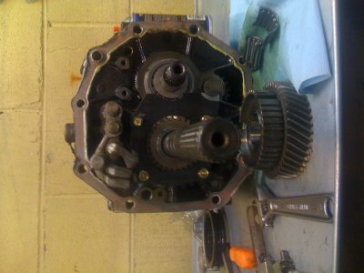 trans 005.jpg