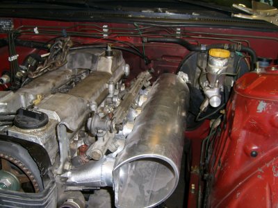 STP60107.JPG
