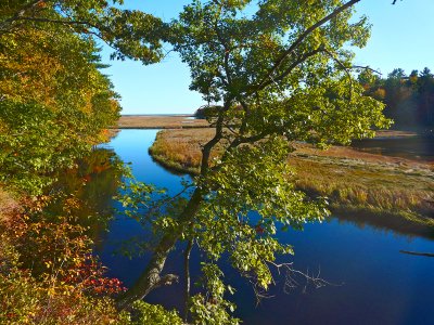 rachel carson wildlife refuge, wells, me