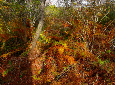 laudholm reserve, wells, me