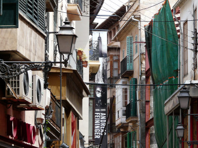 palma