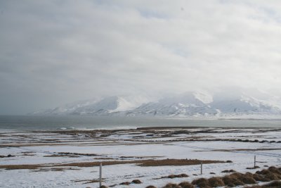 IMG_0550.JPG