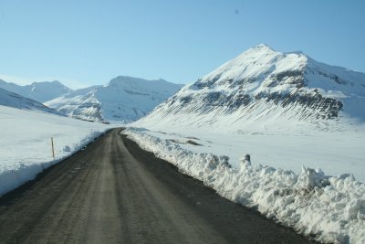 IMG_0558.JPG