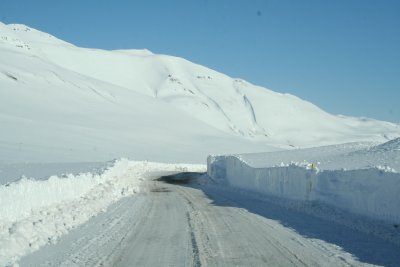 IMG_0583.JPG