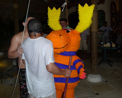P1010989.JPG