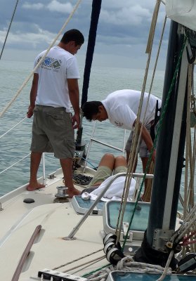 P1100392sail.jpg