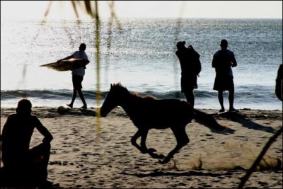 beach_horse.jpg
