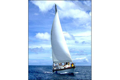 sail_pelicaneyes_4.jpg