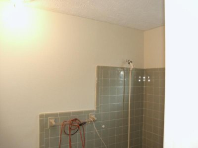 masterbathshower.JPG