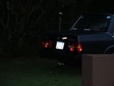 rear_out.JPG