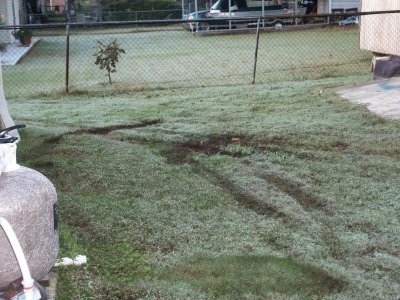 yard2.JPG