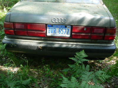 V81 Rear.jpg