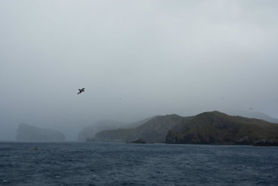 Antipodean Islands