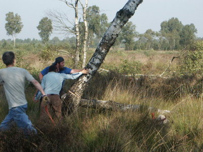 PICT0044.JPG
