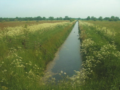 Het Molentje.JPG