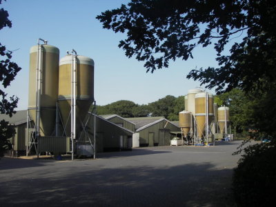 IMGP3292.JPG