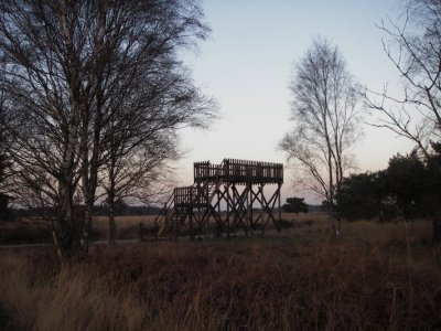 IMGP8142.JPG