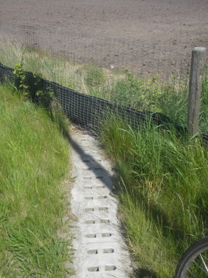 IMGP9492.JPG