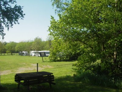IMGP9555.JPG