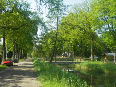IMGP9624.JPG