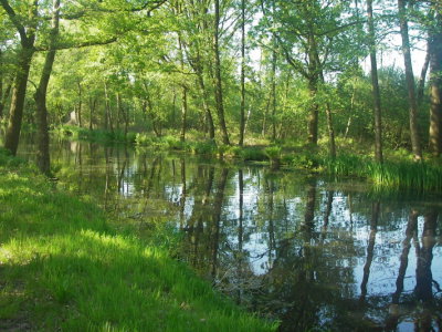 IMGP9671.JPG