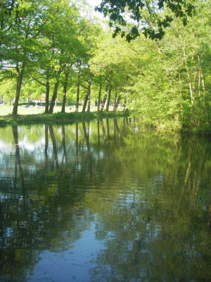 IMGP9702.JPG