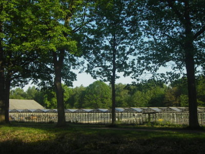IMGP9717.JPG