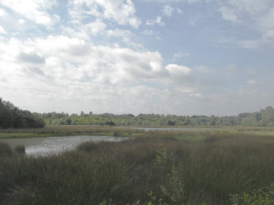 Rauwkuilen6052.JPG