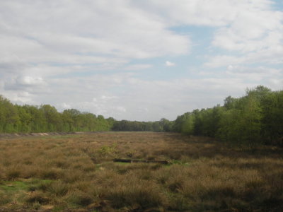 Horsterweitjes n 0781.JPG