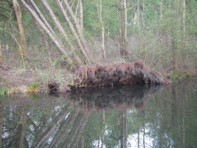 beschadigde kade 0867.JPG