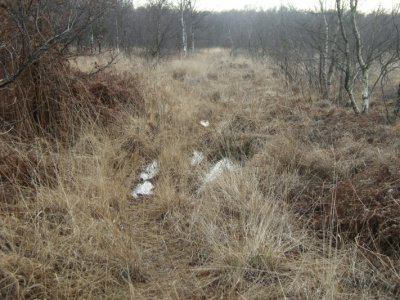 bult paadje binnenland 2 .JPG