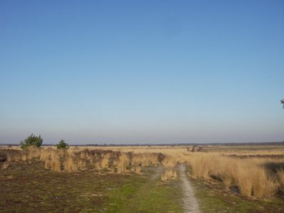 IMGP8068.JPG