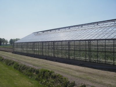 IMGP9471.JPG