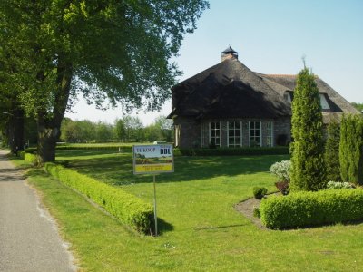 IMGP9588.JPG