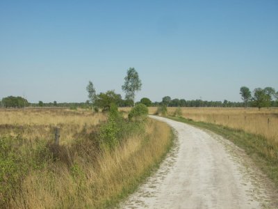 IMGP9595.JPG