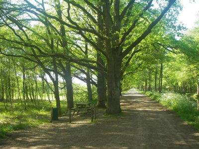IMGP9669.JPG