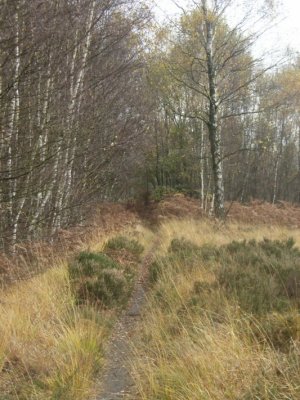 minkepad noord 3.JPG
