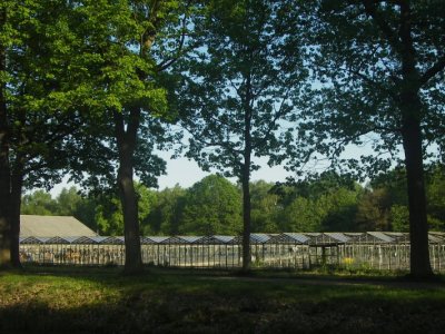 IMGP9717.JPG