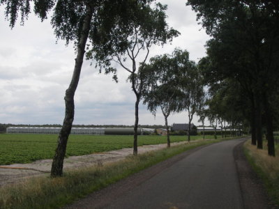 overzicht kas koeweidweg 6227.JPG