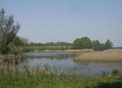 schoorkuilen 1365.JPG