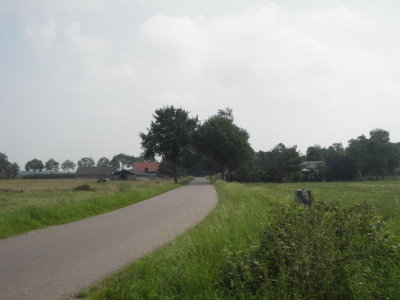truffelperceel kruisstraat.JPG