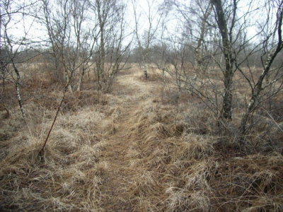 bult paadje binnenland 3.JPG