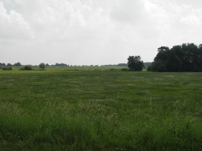 truffelperceel openheid2538.JPG