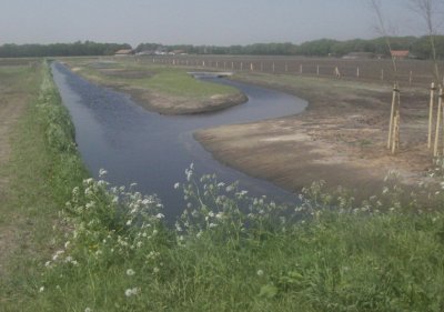 waterberging lupineweg.JPG
