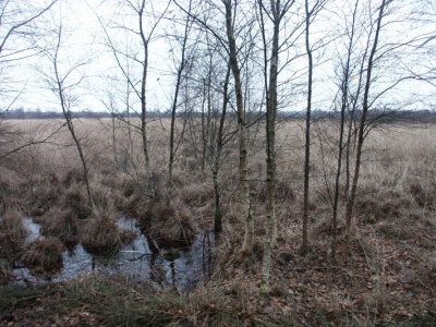 nattigheid in het zinkske.JPG