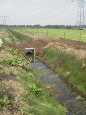 nieuwe landbouwstuw.JPG