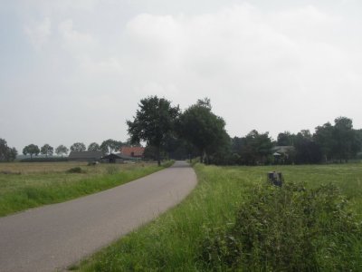truffelperceel kruisstraat.JPG