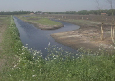waterberging lupineweg.JPG