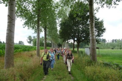6. Wandelgroep in de natuur Lieshout e.o..JPG
